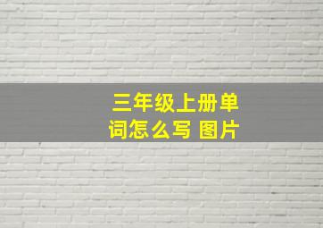 三年级上册单词怎么写 图片